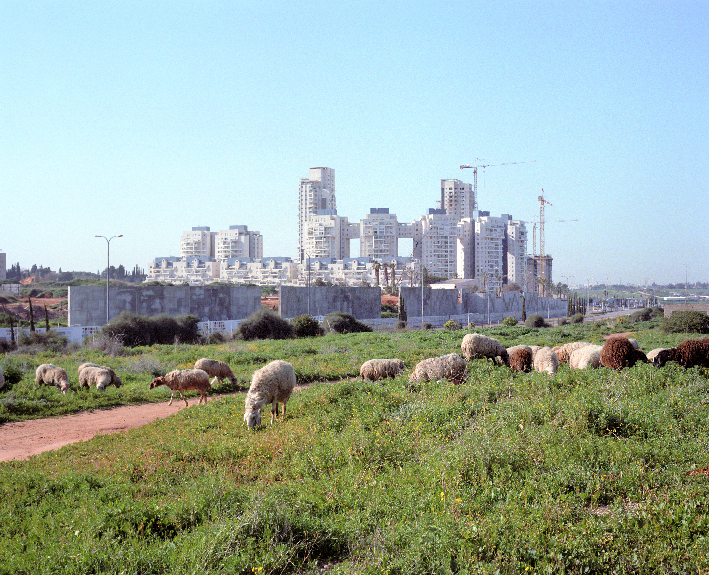 Les Arabes du Néguev ne sont pas des ennemis d’Israël