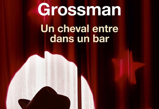 Dans les yeux de David Grossman