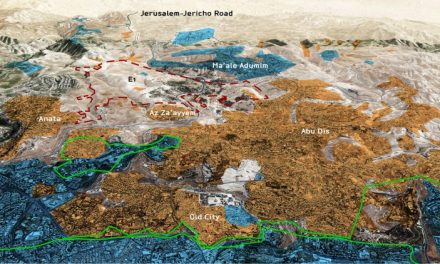 Contre la construction d’une nouvelle implantation en zone E1