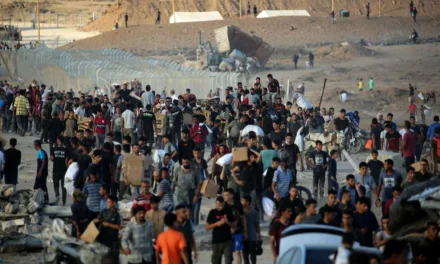 Nir Hasson, Yaniv Kubovich, Bar Peleg : « C’est un champ de bataille : des soldats de Tsahal ont reçu l’ordre de tirer délibérément sur des Gazaouis non armés attendant une aide humanitaire. »