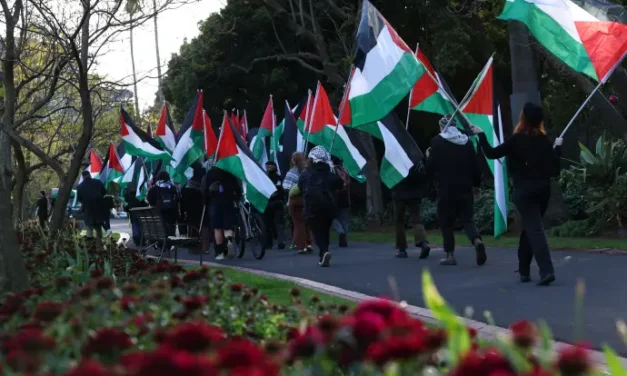 Nadav Tamir : « Un État palestinien n’est pas une menace – c’est notre dernière chance »