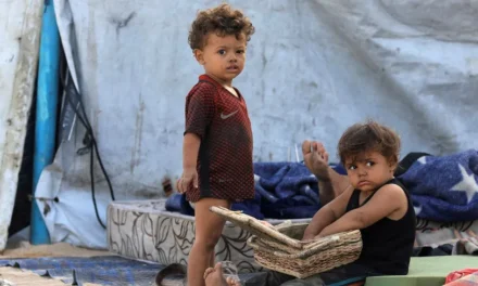 Yehudit Karp : Le retour des otages de Gaza et des soldats de Tsahal ne suffit pas. Il est temps de réapprendre la compassion