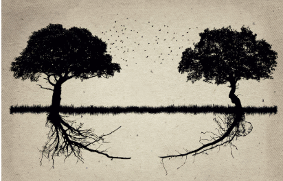 Pour la société israélienne, il importe de restaurer la confiance