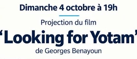 « LOOKING FOR YOTAM »