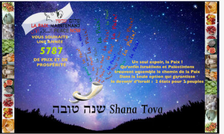 BONNE ANNÉE…שנה טובה…SHANA TOVA