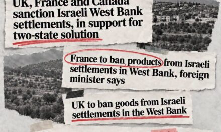 SUR LES SANCTIONS IMPOSÉES PAR 12 PAYS, NON CONTRE L&rsquo;ÉTAT D&rsquo;ISRAËL MAIS CONTRE LES COLONIES.